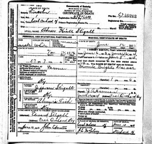 Abner Hiatt Stigall - Death Certificate 1914