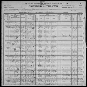 US Census, 1900, Milam County, TX